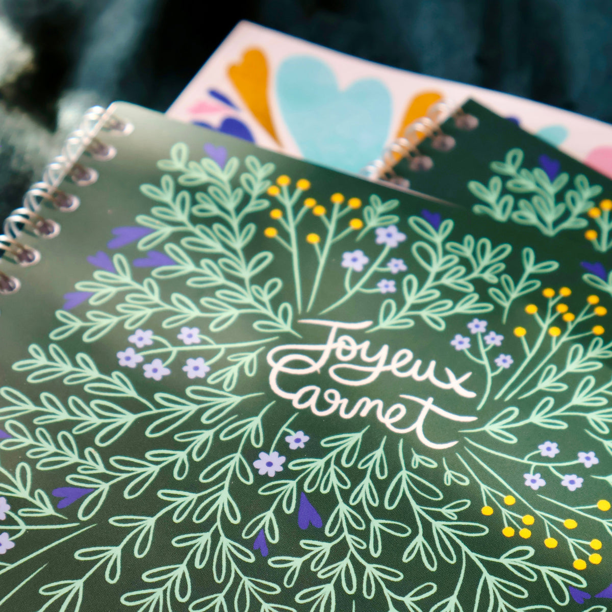 Joyeux Carnet (à spirales)